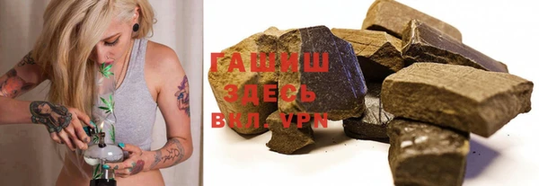 хмурый Белокуриха