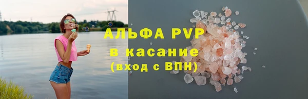 хмурый Белокуриха