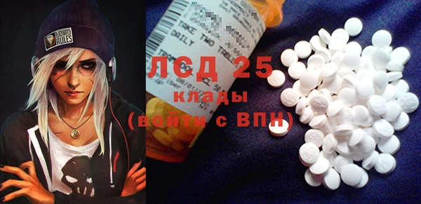 хмурый Белокуриха