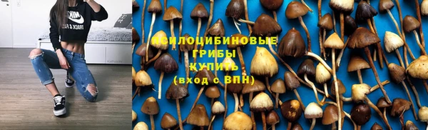 хмурый Белокуриха