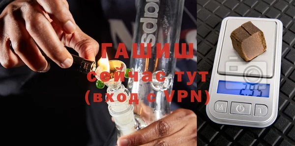 хмурый Белокуриха